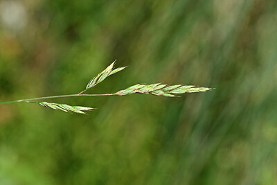 BUITEN BEELD Foto: 440451