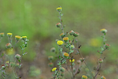BUITEN BEELD Foto: 440470