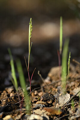 BUITEN BEELD Foto: 440485