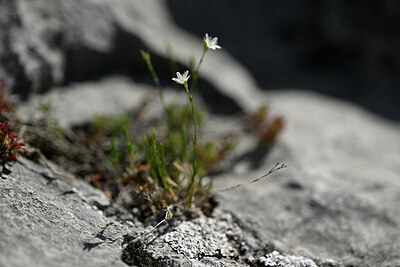BUITEN BEELD Foto: 440488