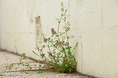 BUITEN BEELD Foto: 440494