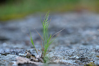 BUITEN BEELD Foto: 440499