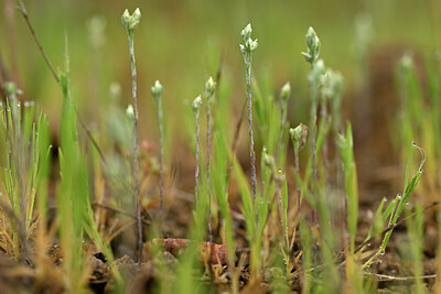 BUITEN BEELD Foto: 440510