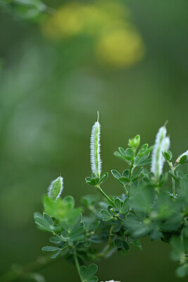 BUITEN BEELD Foto: 440513
