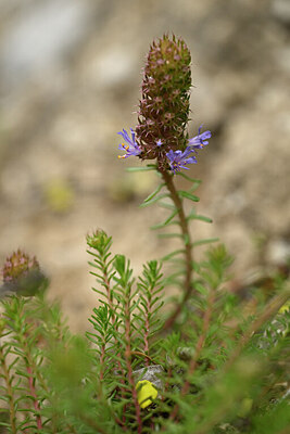 BUITEN BEELD Foto: 440516