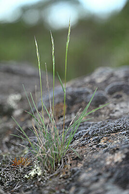 BUITEN BEELD Foto: 440532
