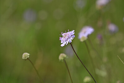 BUITEN BEELD Foto: 440539