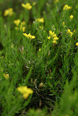 BUITEN BEELD Foto: 440540