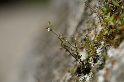 BUITEN BEELD Foto: 440542