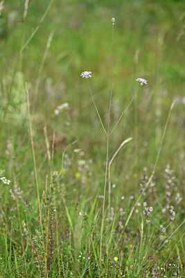 BUITEN BEELD Foto: 440544