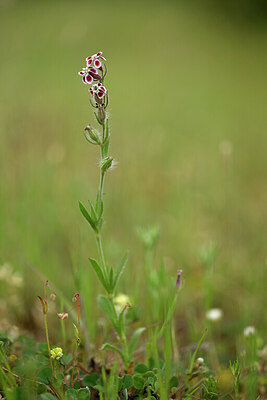 BUITEN BEELD Foto: 440549