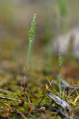 BUITEN BEELD Foto: 440551