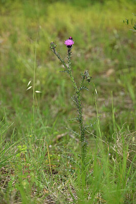 BUITEN BEELD Foto: 440553