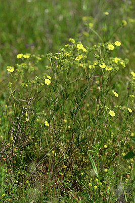 BUITEN BEELD Foto: 440564