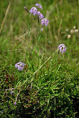 BUITEN BEELD Foto: 440568