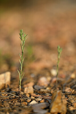 BUITEN BEELD Foto: 440569