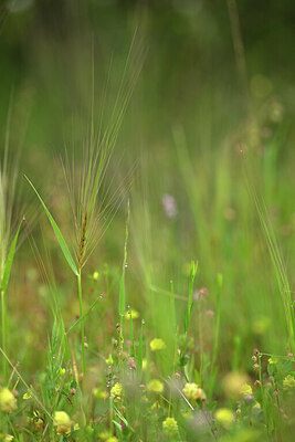 BUITEN BEELD Foto: 440570