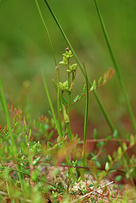BUITEN BEELD Foto: 440572