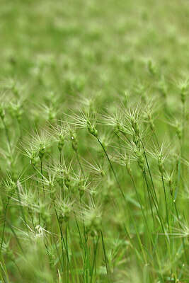 BUITEN BEELD Foto: 440573