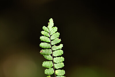 BUITEN BEELD Foto: 440579