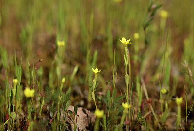 BUITEN BEELD Foto: 440584