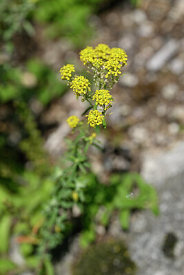BUITEN BEELD Foto: 440589