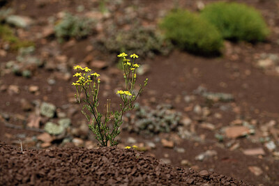 BUITEN BEELD Foto: 440590