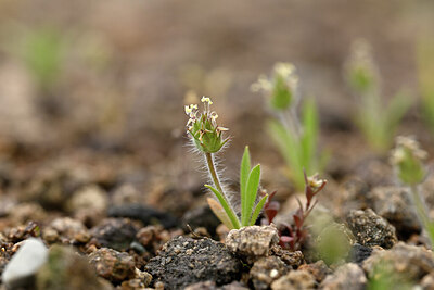 BUITEN BEELD Foto: 440591