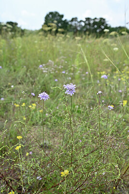 BUITEN BEELD Foto: 440595