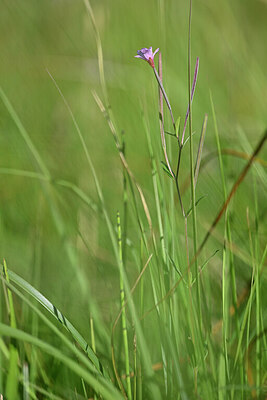 BUITEN BEELD Foto: 440613