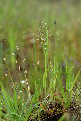 BUITEN BEELD Foto: 440649