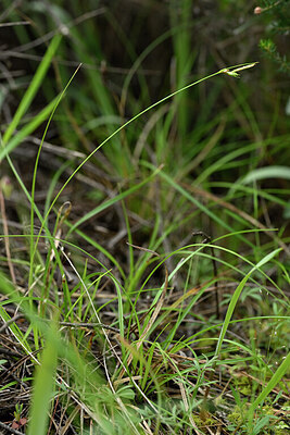 BUITEN BEELD Foto: 440668