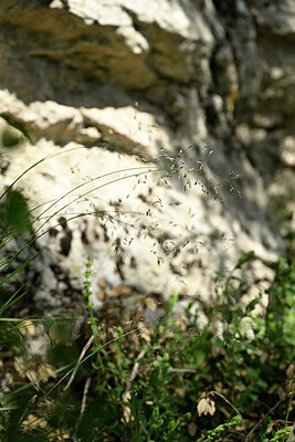 BUITEN BEELD Foto: 440670