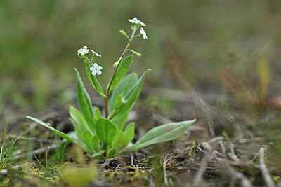 BUITEN BEELD Foto: 440675