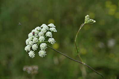 BUITEN BEELD Foto: 440691