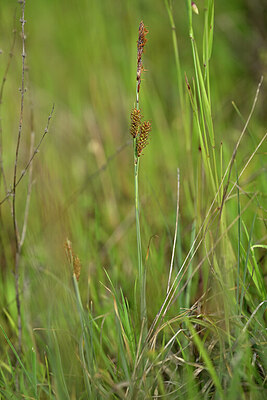 BUITEN BEELD Foto: 440692