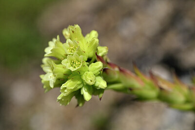 BUITEN BEELD Foto: 440703