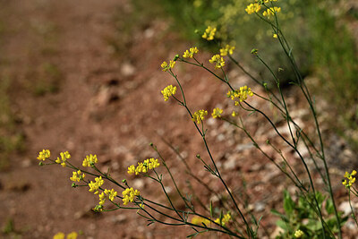BUITEN BEELD Foto: 440721
