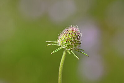BUITEN BEELD Foto: 440732