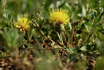 BUITEN BEELD Foto: 440748