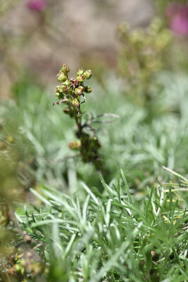 BUITEN BEELD Foto: 440751