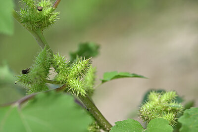 BUITEN BEELD Foto: 440754