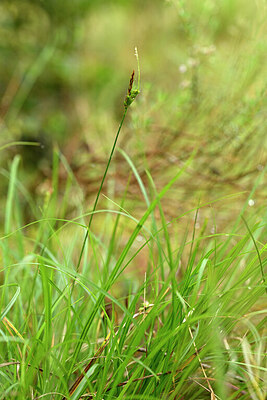 BUITEN BEELD Foto: 440762
