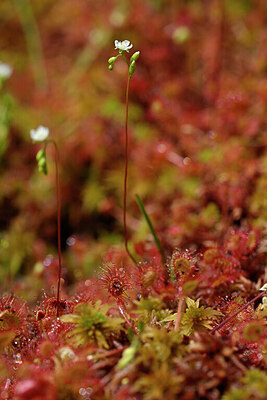 BUITEN BEELD Foto: 440775