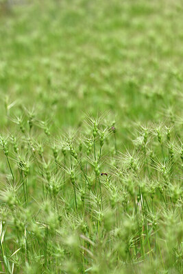 BUITEN BEELD Foto: 440799