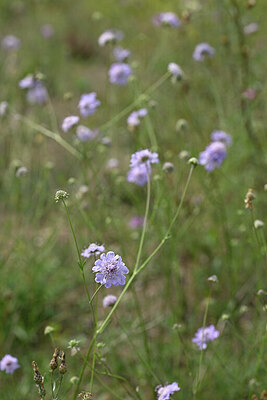BUITEN BEELD Foto: 440802