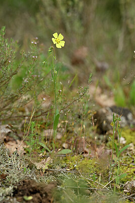 BUITEN BEELD Foto: 440806