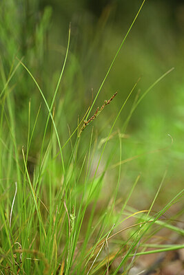 BUITEN BEELD Foto: 440830