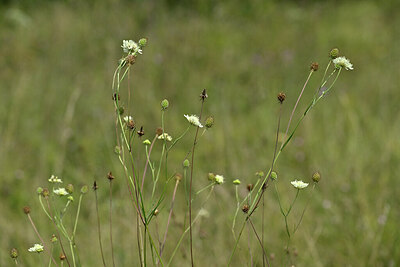 BUITEN BEELD Foto: 440847