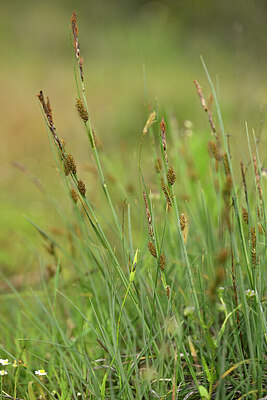 BUITEN BEELD Foto: 440882